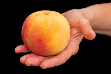 Peach in hand on black