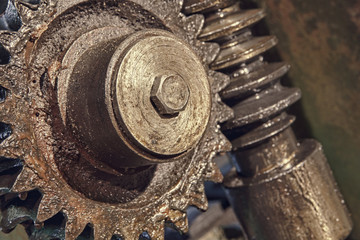 Gear wheel, cogs and screw of old industry machine taken closeup.