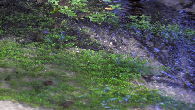 Kristall klarer Bach fliesst idyllisches durch eine gr&uuml;ne Ufer Landschaft mit sandigen Flussbett