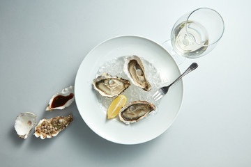 Raw fresh oyster shellfish