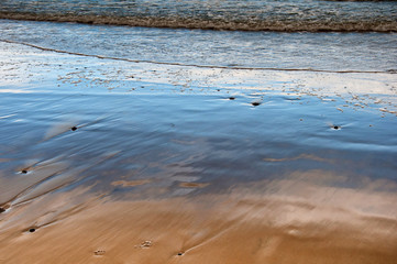 Coast of the Baltic Sea