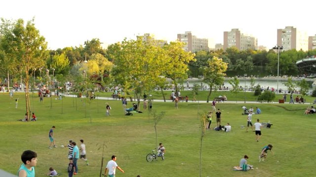 Crowded Park On A Summer Afternoon, Heat Wave, Family Time, People Having Fun