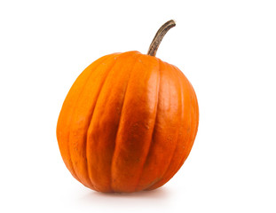 Halloween pumpkin on a white background