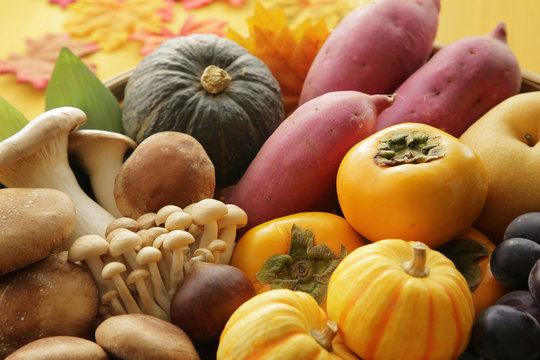 秋の食材　Japan autumn foods