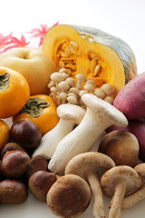 秋の食材　Japan autumn foods