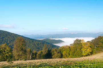 Mountains and fog