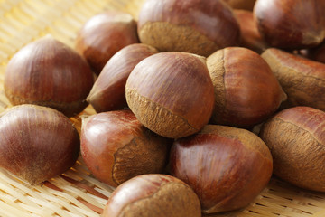 栗　Japan chestnuts