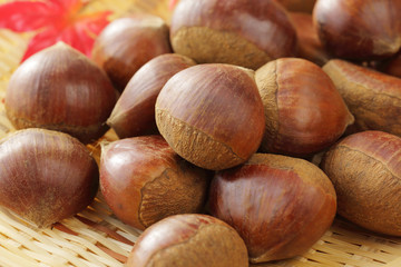 栗　Japan chestnuts