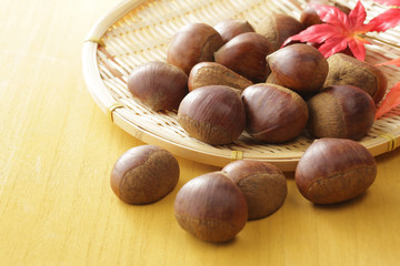 栗　Japan chestnuts