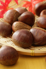 栗　Japan chestnuts