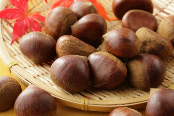 栗　Japan chestnuts
