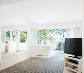 living room interior