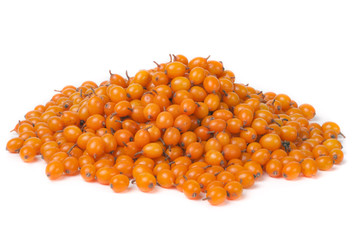 bunch of sea buckthorn berries isolated on white background