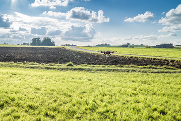 Kleine Drohne im Landeanflug nahe der Landstraße