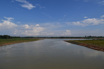 tropical river