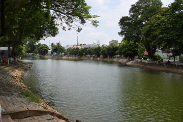 tropical river