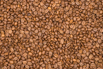 Close-up of roasted coffee beans background