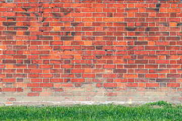 Red brick wall with weed
