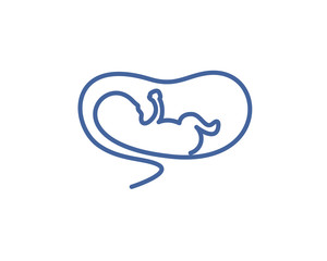 Fetus, Embryo and Baby