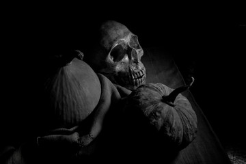 Art skull