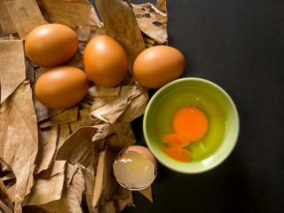 Organic egg on dried leaf