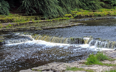 Obraz premium Aysgarth Middle Falls step, Wensleydale, North Yorkshire, England