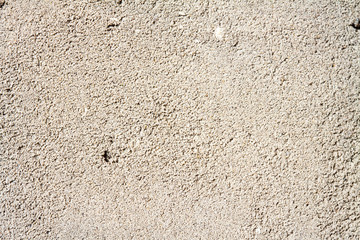 concrete stone closeup