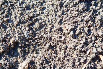 concrete stone closeup