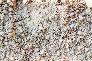 concrete stone closeup