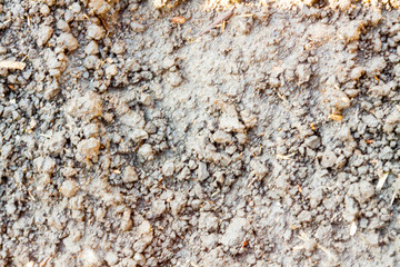 concrete stone closeup