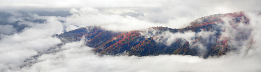 Sea fog after rain