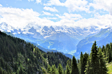 Fototapeta na wymiar Panoramic view of the Alps in Switzerland on a hot summer day