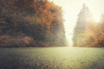EIne Straße im Herbst mt verfärbten Bäumen und Nebel
