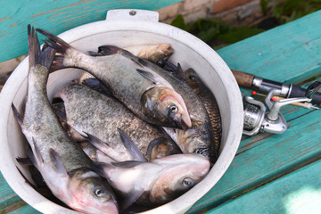 fishing, catch on the wooden background. a fish