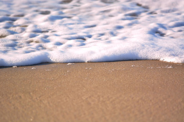 Foamy Wave Washing up the Beach