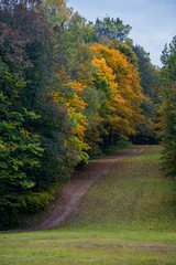 autumn road