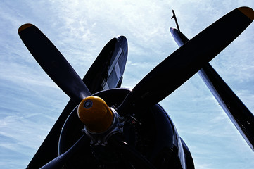 Warbird at Rest