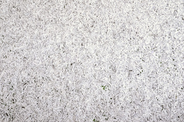 shredded paper background
