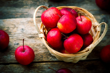  Organic wild apples in the basket