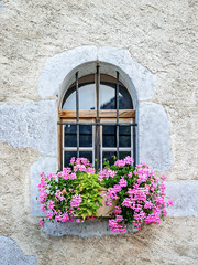window with flower decoration