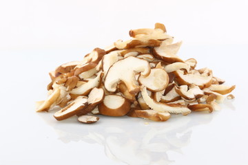 Shiitake studio
