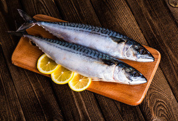 Mackarel at cutting table