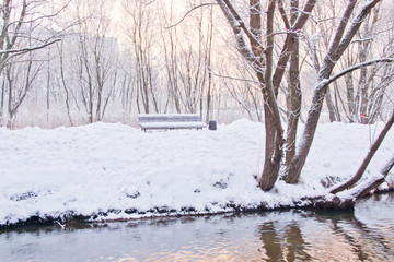 bench in forest next to the river in winter