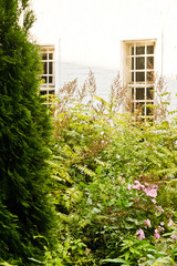 garden next to the white building