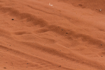 Background from red sand in the Savana