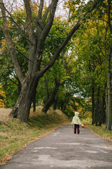 Little girl in the autumn park.  pathway