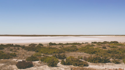 Outback near Lake Alexandrina in South Australia