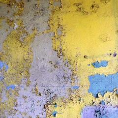 wall