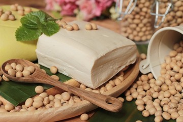 Tofu for cooking and soybean seed.