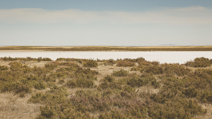 Outback near Lake Alexandrina in South Australia